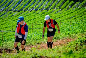 BIB: 1005
                            <button type="button" onclick="openModal(19163320)" class="btn btn-primary btn-sm float-right btn-popup" data-toggle="modal" data-target=".modal-high-quality">
                        <i class="fas fa-shopping-cart"></i> Add to Cart
                    </button>
                                            <button type="button" onclick="isThisMe(19163320, true)" class="btn btn-success btn-sm float-right btn-popup btn-isme hidden" data-toggle="tooltip" data-placement="bottom" title="นี่คือรูปของคุณใช่ไหม คลิกที่นี่เพื่อเอาเข้าอัลบั้ม">
                        <i class="fas fa-plus"></i> Add to album
                    </button>
                    <button type="button" onclick="isThisMe(19163320, false)" class="btn btn-warning btn-sm float-right btn-popup btn-isnotme hidden">
                        <i class="fas fa-ban"></i> Remove from album
                    </button>